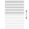 vidaXL žalūzijas zebra 95x100 cm auduma platums 90,9 cm poliesters