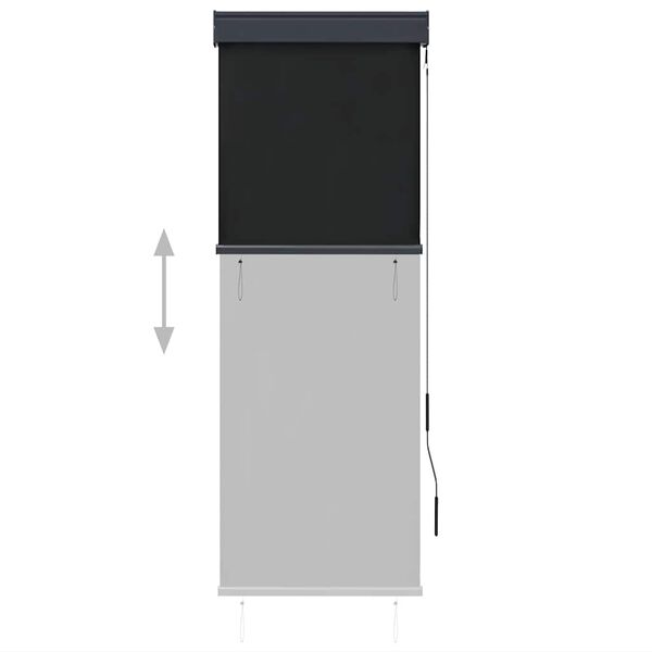 vidaXL āra ruļļu žalūzija, 60x250 cm, antracītpelēka