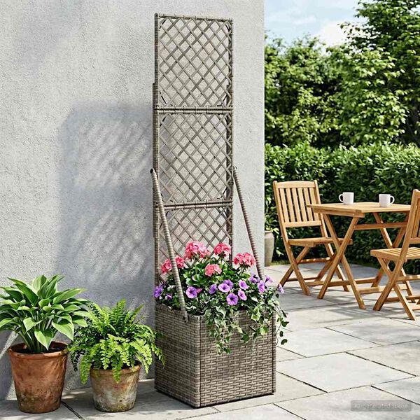 Showing Product Image 2 of 11