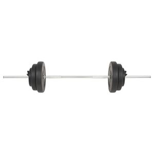vidaXL svaru stienis ar diskiem, 60 kg