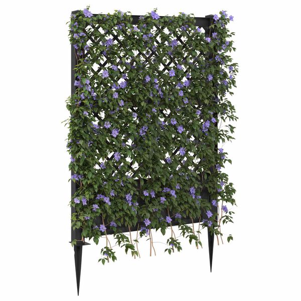 Showing Product Image 3 of 7