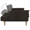 vidaXL 2-vietīga dīvāngulta ar diviem spilveniem, tum&scaron;i brūns audums