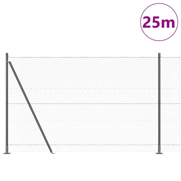 vidaXL Žoga āķis Pelēka 25 x 1,4 m (36 mm siets) Tērauds un PVC