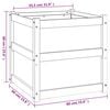 vidaXL dārza puķu kastes, 2 gab., balta, priedes masīvkoks