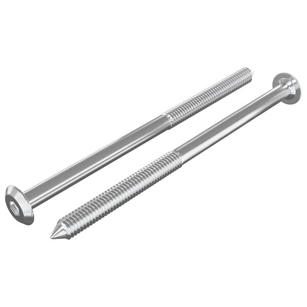 vidaXL Mēbeļu skrūves 2 pcs Sudraba M6 x 100 mm Tērauds