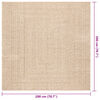 vidaXL paklājs ZIZUR, 200x200cm džutas izskats lietojams telpās un ārā