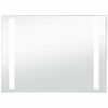 vidaXL vannasistabas sienas spogulis ar LED apgaismojumu, 100x60 cm