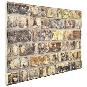 vidaXL Sienas paneļi 10 pcs Daudzkrāsains 100 x 50 cm EPS putas