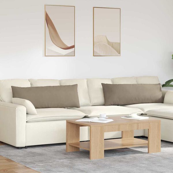 vidaXL Dīvāna spilveni 2 pcs Pelēkbrūna 120 x 40 cm audums
