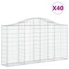 vidaXL arkveida gabiona grozi, 40gb., 200x30x100/120cm, cinkota dzelzs