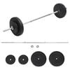 vidaXL svaru stienis ar diskiem, 30 kg