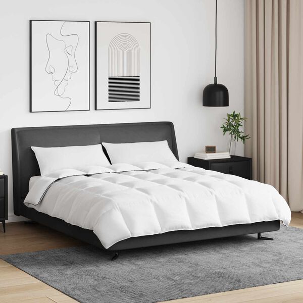 vidaXL Ziemas gultas sega ar spilvenu 3 pcs Balts Dūnu spalva