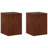vidaXL Augu statīvs 2 pcs Rūsa 30 x 30 x 40 cm Novecināts tērauds