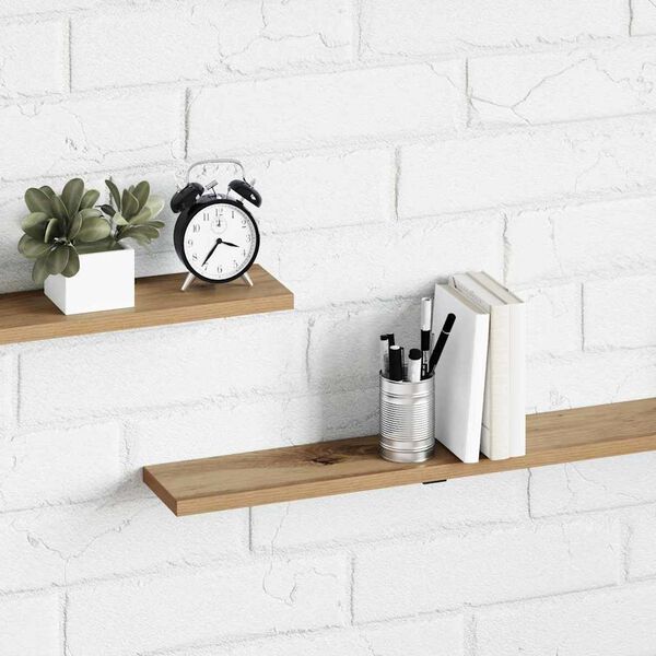 vidaXL Grāmatplaukta Paneļa 4 pcs Brūna 100 x 10 x 1,5 cm