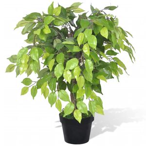 Mākslīgais Dwarf ficus augs ar podu, 60 cm