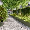 Olive_green