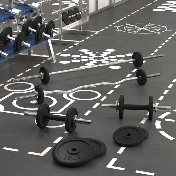 vidaXL svaru stienis un hanteles ar diskiem, 60 kg, čuguns