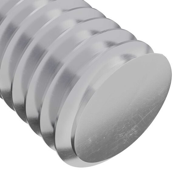 vidaXL Skrūve 2 pcs Sudraba 8 x 25 mm Tērauds