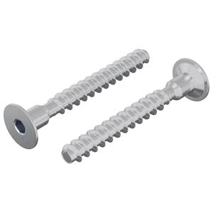 vidaXL Skrūve 2 gab. Cinkots 5 x 40 mm Dzelzs
