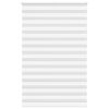 vidaXL žalūzijas zebra 150x230 cm auduma platums 145,9 cm poliesters