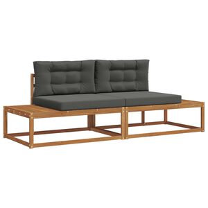 vidaXL Āra dīvānu komplekts ar spilvenu 2 Gabals Dabisks un antracīts