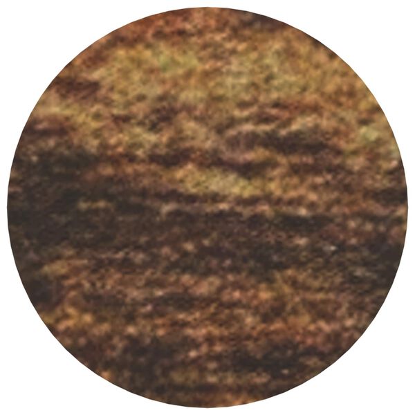 vidaXL Līmējo&scaron;s skrūvju vāks 2 pcs Vecs koks &Oslash; 20 x 0,5 mm