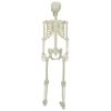 vidaXL Halloween skelets Balts 155 x 38.5 cm Plastmasa