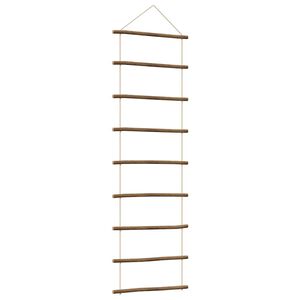 vidaXL Sienas Dekorācijas Kāpņu formas 50x150 cm dabīgs zars