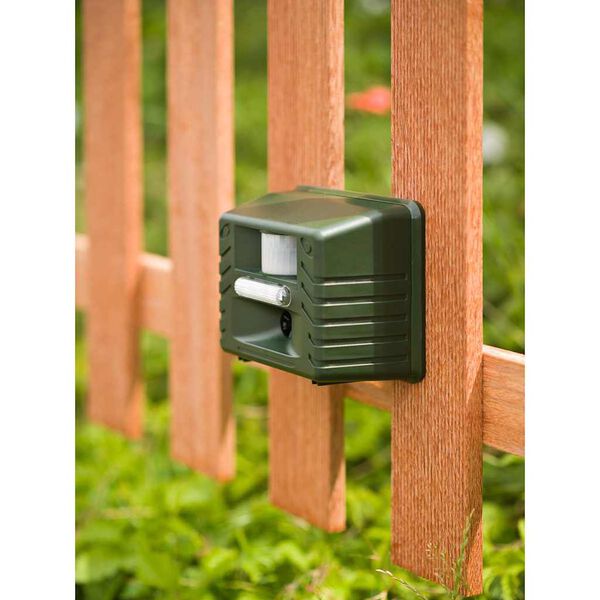 Showing Product Image 3 of 5