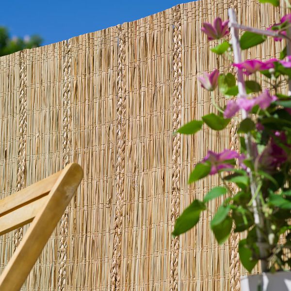 Nature dārza aizslietnis Carex, grī&scaron;ļi, 3x1 m