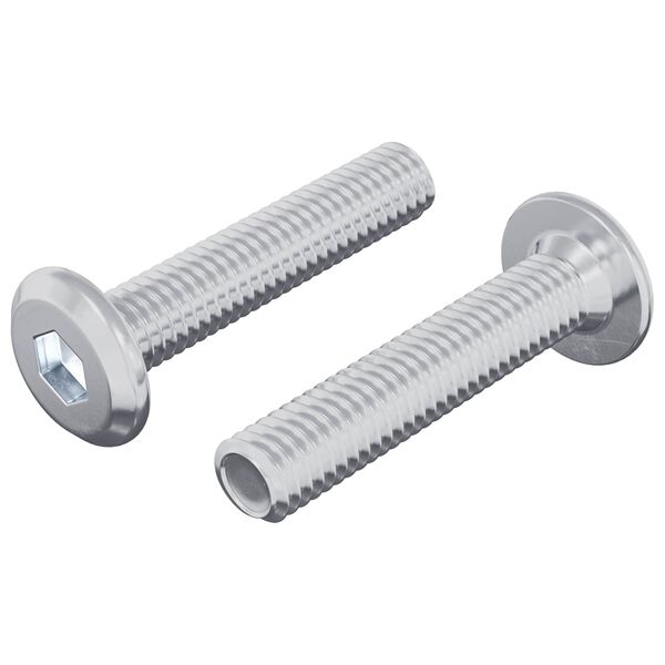 vidaXL Slēdzene skrūve Vienkrāsains 2 pcs Sudraba M6 x 30 mm Tērauds