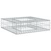 vidaXL Gabions pacelta gulta 80 x 80 x 20 cm Cinkots tērauds Sudraba