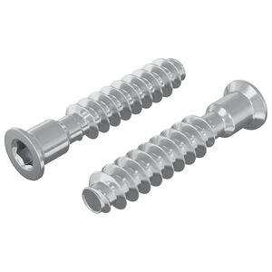 vidaXL Galveni skrūve 2 gab. Sudraba M7 x 40 mm Tērauds