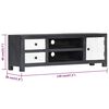vidaXL TV skapītis, 120x30x40 cm, pelēks, balts, pārstrādāts masīvkoks