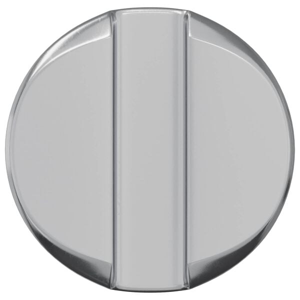 vidaXL Cilindriskais uzgrieznis 2 pcs Sudraba M6 x 13 mm Dzelzs