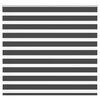 vidaXL žalūzijas zebra 165x100 cm auduma platums 160,9 cm poliesters