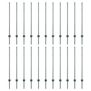 vidaXL Žoga āķis 22 pcs Zaļa 160 cm Tērauds