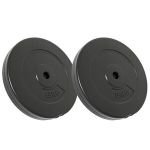 vidaXL svaru diski, 2 gab., 30 kg, cements
