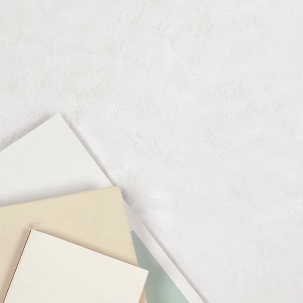 vidaXL Mākslīgā tru&scaron;a kažokādas paklājs Olite Balts 80 x 120 cm