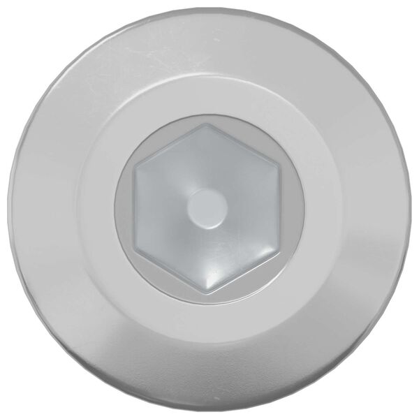 vidaXL Skrūve 12 pcs Sudraba M6 x 85 mm Tērauds