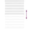 vidaXL žalūzijas zebra 105x100 cm auduma platums 100,9 cm poliesters