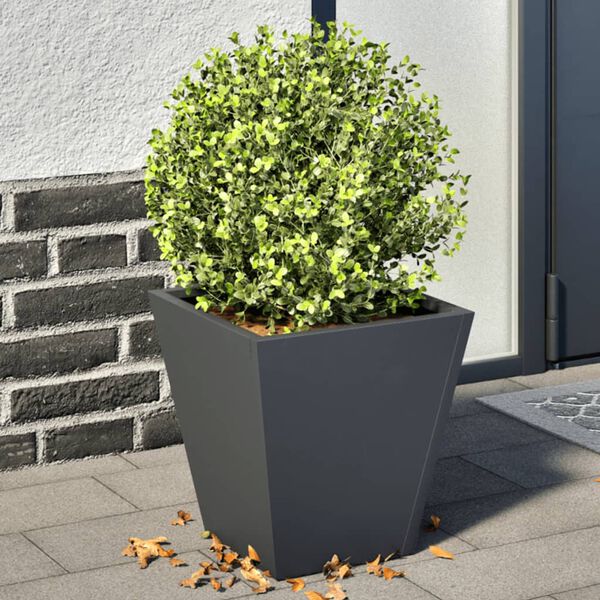 Showing Product Image 2 of 12