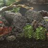 Produkta sīktēla attēls 2 no 5