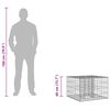 vidaXL Gabions pacelta gulta Sudraba 60 x 60 x 40 cm Cinkots tērauds