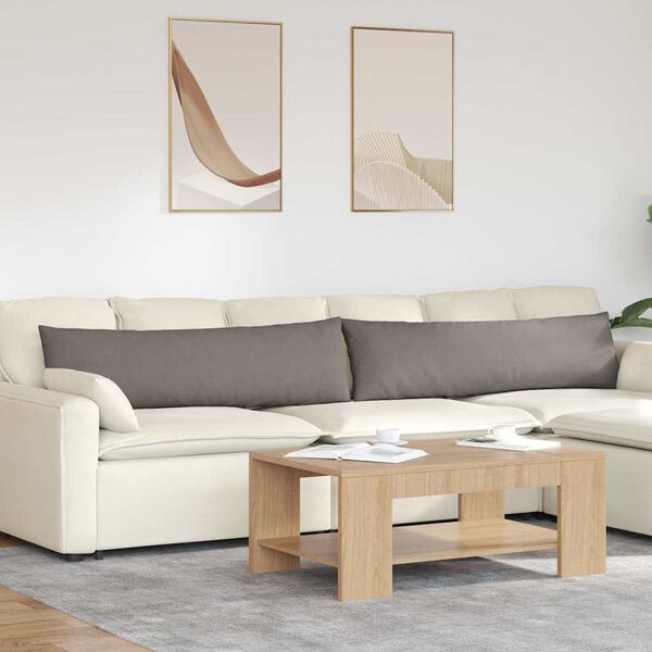 vidaXL Dīvāna spilveni 2 pcs Pelēkbrūna 145 x 40 cm audums