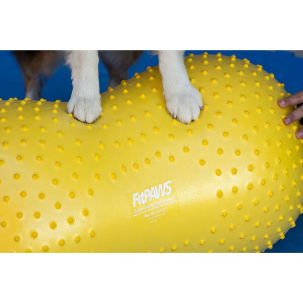 FitPAWS dzīvnieku līdzsvara platforma Trax Peanut, 40 cm, dzeltena