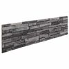 vidaXL Sienas paneļi 10 gab. 100 x 25 cm Antracīts EPS putas