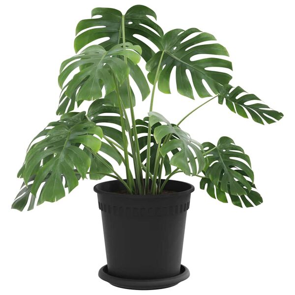 vidaXL Augu podi 24 pcs Melna &Oslash; 17 x 14 cm Plastmasa