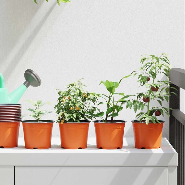 Showing Product Image 2 of 11