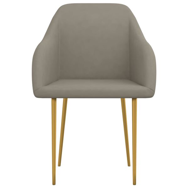 vidaXL virtuves krēsli, 2 gab., gai&scaron;i pelēks samts